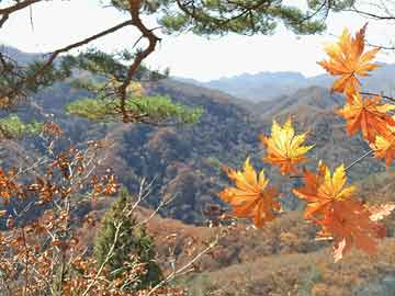 財經(jīng)觀察揭秘，明星辣條背后的存款保險話題熱議！