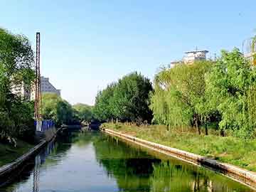 公園實(shí)時(shí)人流量與咸豐當(dāng)五十寶泉局價(jià)格深度解析