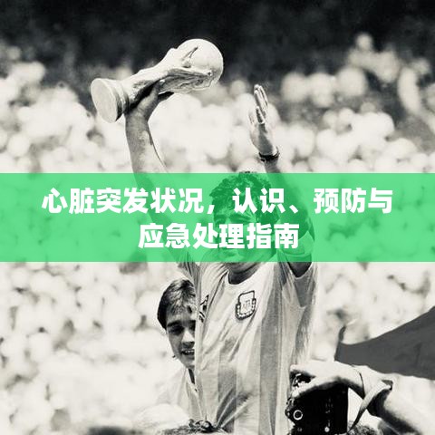 心臟突發(fā)狀況，認識、預防與應急處理指南