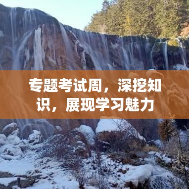 專題考試周，深挖知識(shí)，展現(xiàn)學(xué)習(xí)魅力