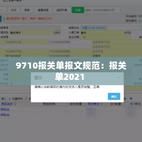 9710報(bào)關(guān)單報(bào)文規(guī)范：報(bào)關(guān)單2021 