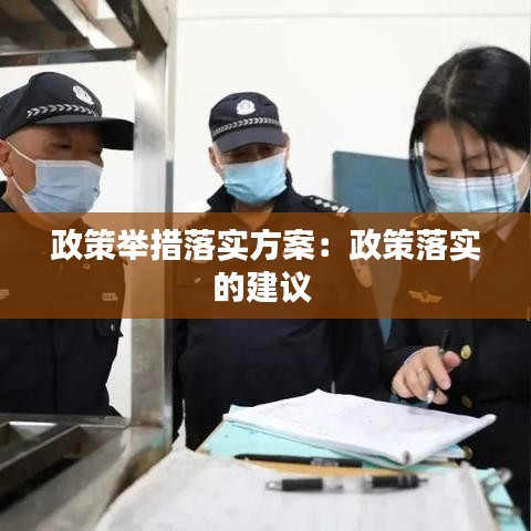 政策舉措落實(shí)方案：政策落實(shí)的建議 