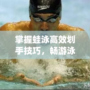 掌握蛙泳高效劃手技巧，暢游泳池?zé)o界限