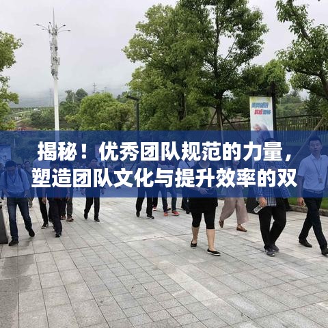 揭秘！優(yōu)秀團(tuán)隊(duì)規(guī)范的力量，塑造團(tuán)隊(duì)文化與提升效率的雙重秘訣