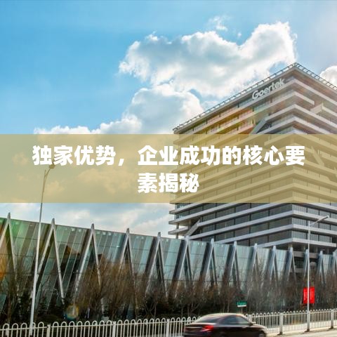 獨家優(yōu)勢，企業(yè)成功的核心要素揭秘