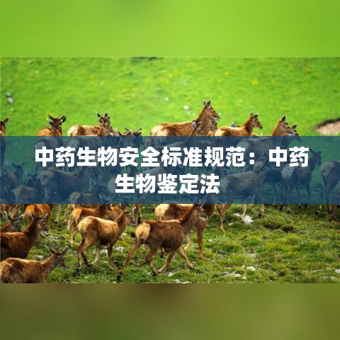 飛檐走壁 第3頁