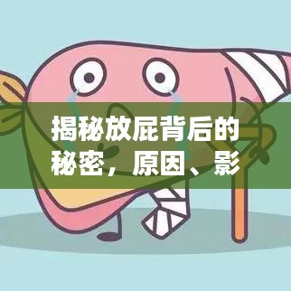 揭秘放屁背后的秘密，原因、影響與應(yīng)對方法