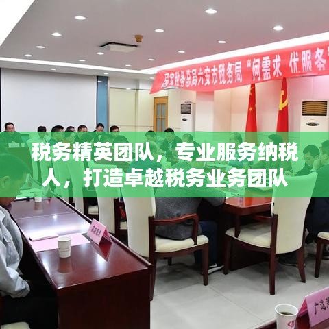 稅務(wù)精英團隊，專業(yè)服務(wù)納稅人，打造卓越稅務(wù)業(yè)務(wù)團隊
