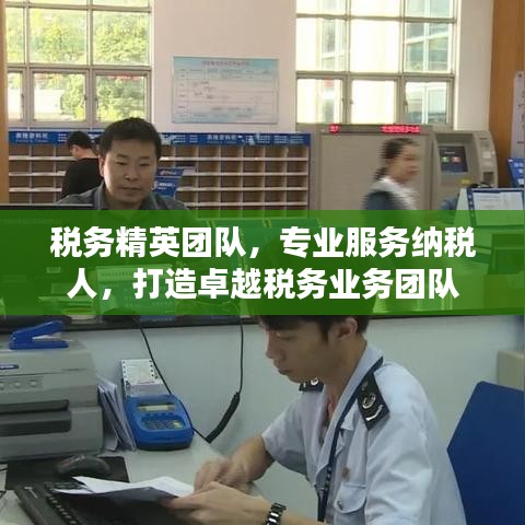 稅務(wù)精英團隊,專業(yè)服務(wù)納稅人,打造卓越稅務(wù)業(yè)務(wù)團隊
