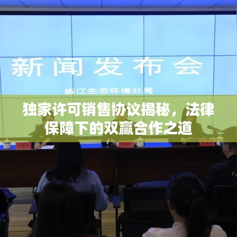 獨(dú)家許可銷售協(xié)議揭秘，法律保障下的雙贏合作之道