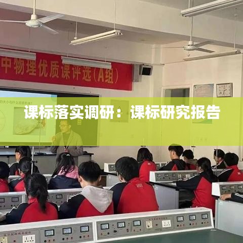 課標(biāo)落實(shí)調(diào)研：課標(biāo)研究報(bào)告 