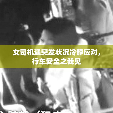 加盟合作 第115頁(yè)