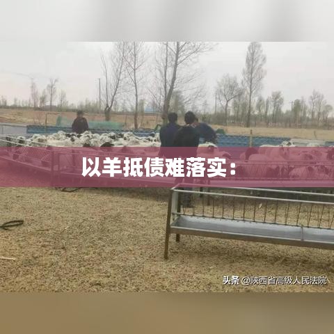 以羊抵債難落實(shí)： 