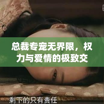 總裁專寵無界限，權力與愛情的極致交融