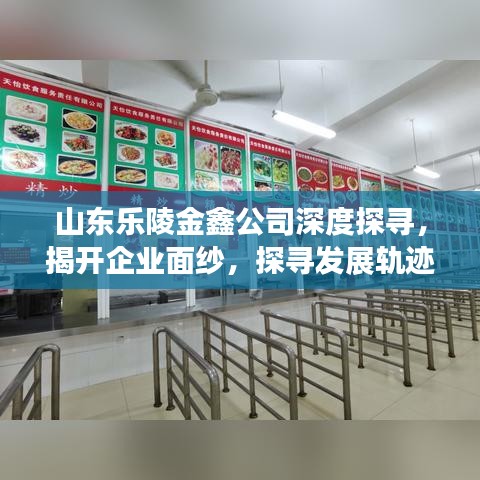 山東樂陵金鑫公司深度探尋，揭開企業(yè)面紗，探尋發(fā)展軌跡