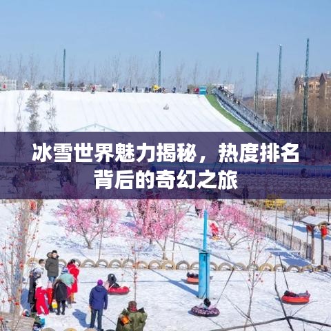冰雪世界魅力揭秘,熱度排名背后的奇幻之旅