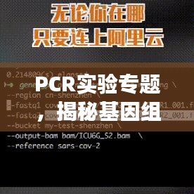 PCR實(shí)驗(yàn)專題，揭秘基因組奧秘探索之旅