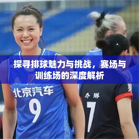 探尋排球魅力與挑戰(zhàn)，賽場與訓(xùn)練場的深度解析