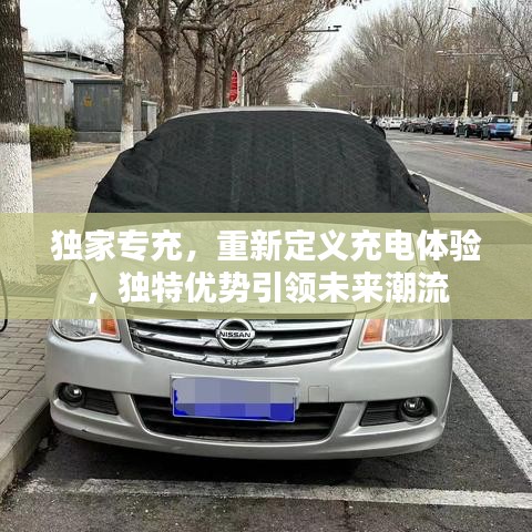 獨家專充，重新定義充電體驗，獨特優(yōu)勢引領(lǐng)未來潮流