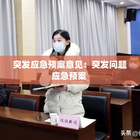 突發(fā)應(yīng)急預(yù)案意見：突發(fā)問題應(yīng)急預(yù)案 