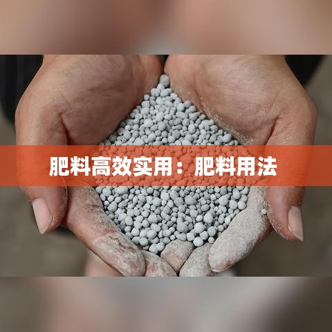 肥料高效實(shí)用：肥料用法 