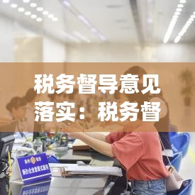 稅務(wù)督導(dǎo)意見落實(shí)：稅務(wù)督查工作方式 