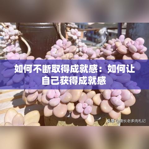 發(fā)硎新試 第3頁