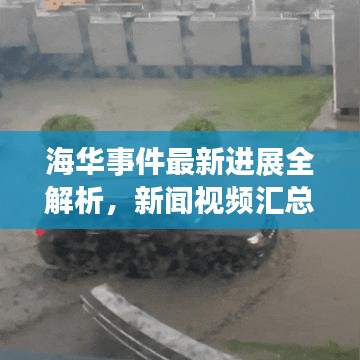 海華事件最新進展全解析,新聞視頻匯總