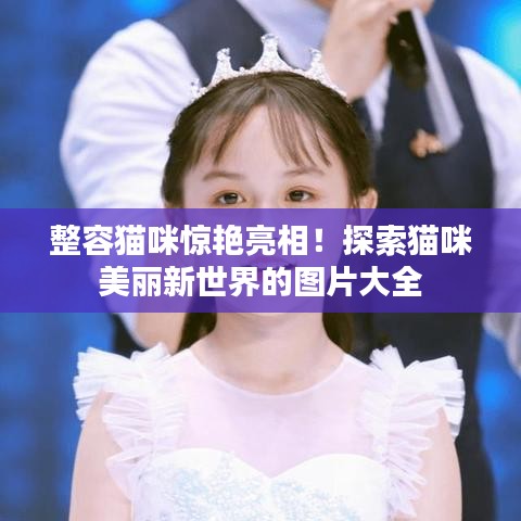 整容貓咪驚艷亮相！探索貓咪美麗新世界的圖片大全