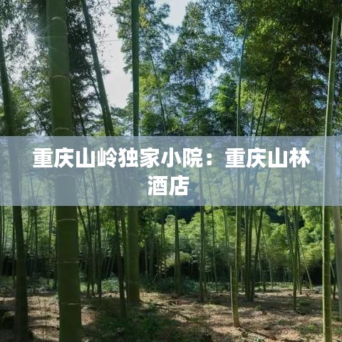 重慶山嶺獨家小院:重慶山林酒店