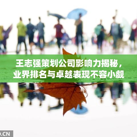 王志強(qiáng)策劃公司影響力揭秘，業(yè)界排名與卓越表現(xiàn)不容小覷
