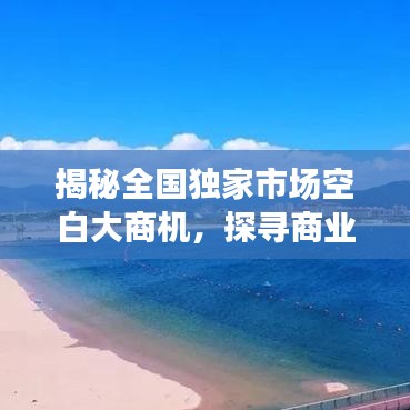 揭秘全國獨家市場空白大商機，探尋商業(yè)新藍海，開啟財富大門！