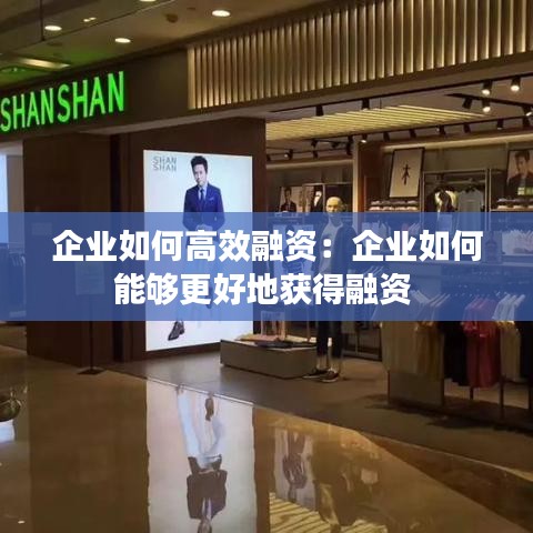 企業(yè)如何高效融資：企業(yè)如何能夠更好地獲得融資 