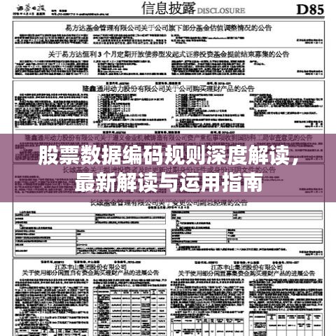 股票數(shù)據(jù)編碼規(guī)則深度解讀，最新解讀與運用指南