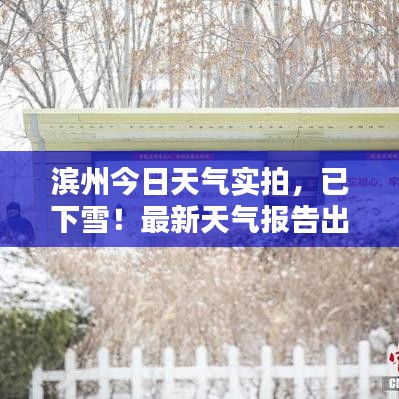 濱州今日天氣實拍，已下雪！最新天氣報告出爐