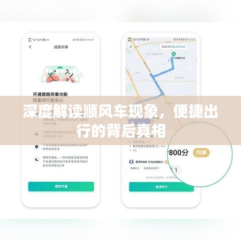 深度解讀順風車現(xiàn)象，便捷出行的背后真相