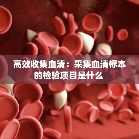 高效收集血清：采集血清標(biāo)本的檢驗(yàn)項(xiàng)目是什么 