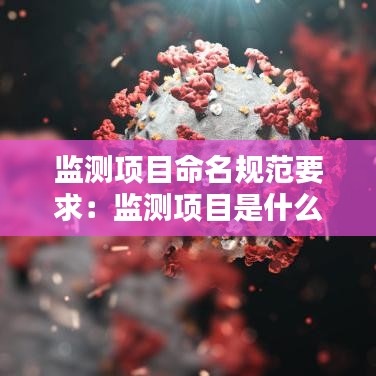 監(jiān)測(cè)項(xiàng)目命名規(guī)范要求：監(jiān)測(cè)項(xiàng)目是什么意思 