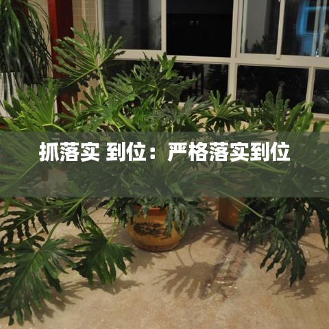 抓落實(shí) 到位：嚴(yán)格落實(shí)到位 