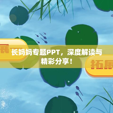長媽媽專題PPT，深度解讀與精彩分享！