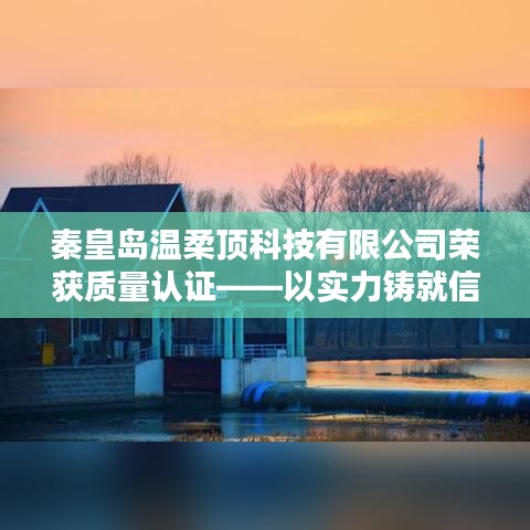 秦皇島溫柔頂科技榮獲質(zhì)量認(rèn)證，實(shí)力鑄就行業(yè)標(biāo)桿信譽(yù)
