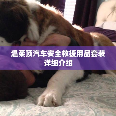 溫柔頂汽車安全救援用品套裝介紹，全方位保障您的行車安全