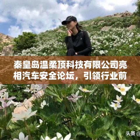 秦皇島溫柔頂科技亮相汽車安全論壇，引領(lǐng)前沿技術(shù)探討風(fēng)潮