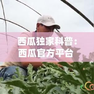 西瓜獨(dú)家科普：西瓜官方平臺 