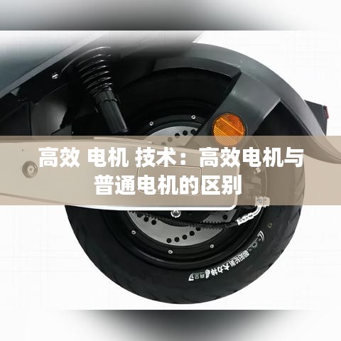 高效 電機(jī) 技術(shù)：高效電機(jī)與普通電機(jī)的區(qū)別 