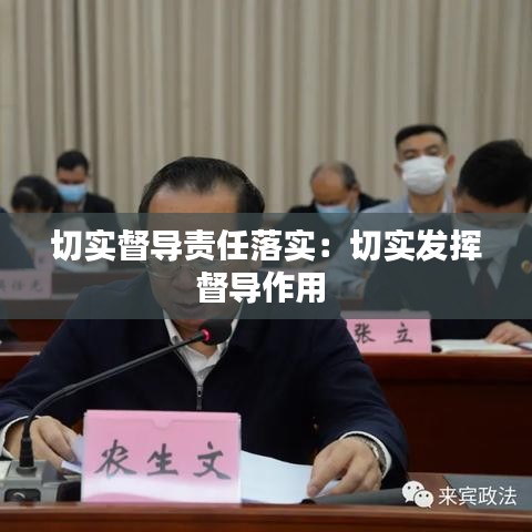 切實(shí)督導(dǎo)責(zé)任落實(shí)：切實(shí)發(fā)揮督導(dǎo)作用 