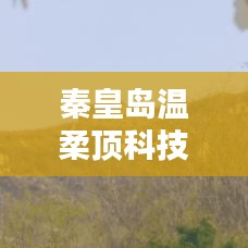秦皇島溫柔頂科技榮獲創(chuàng)新獎(jiǎng)，引領(lǐng)行業(yè)潮流，鑄就典范地位