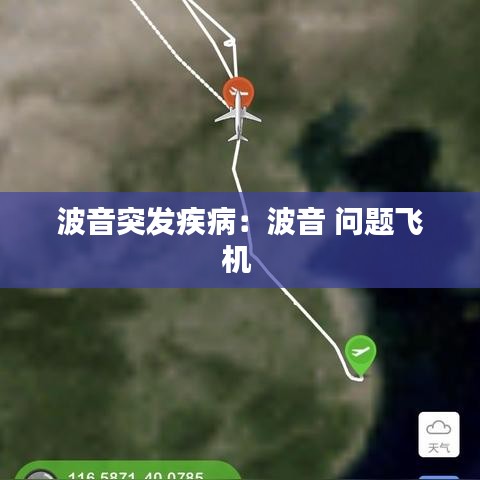 波音突發(fā)疾?。翰ㄒ?問題飛機(jī) 