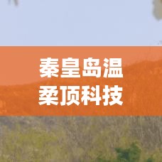 秦皇島溫柔頂科技參與汽車安全救援用品國標(biāo)制定