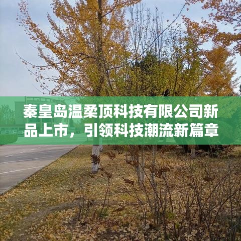 秦皇島溫柔頂科技新品發(fā)布，科技潮流新篇章開啟